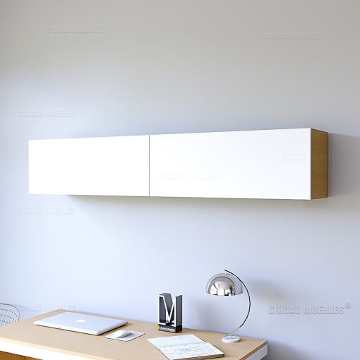 Modulo Organizador Flotante con Puerta