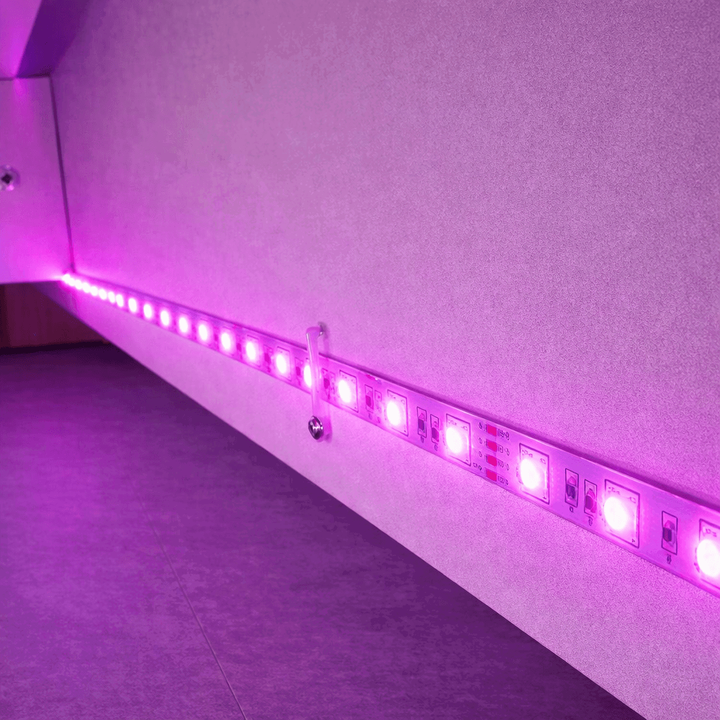 ChatGPT Image 27 ene 2026, 07 54 23 p.m.